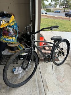 Beach Cruise