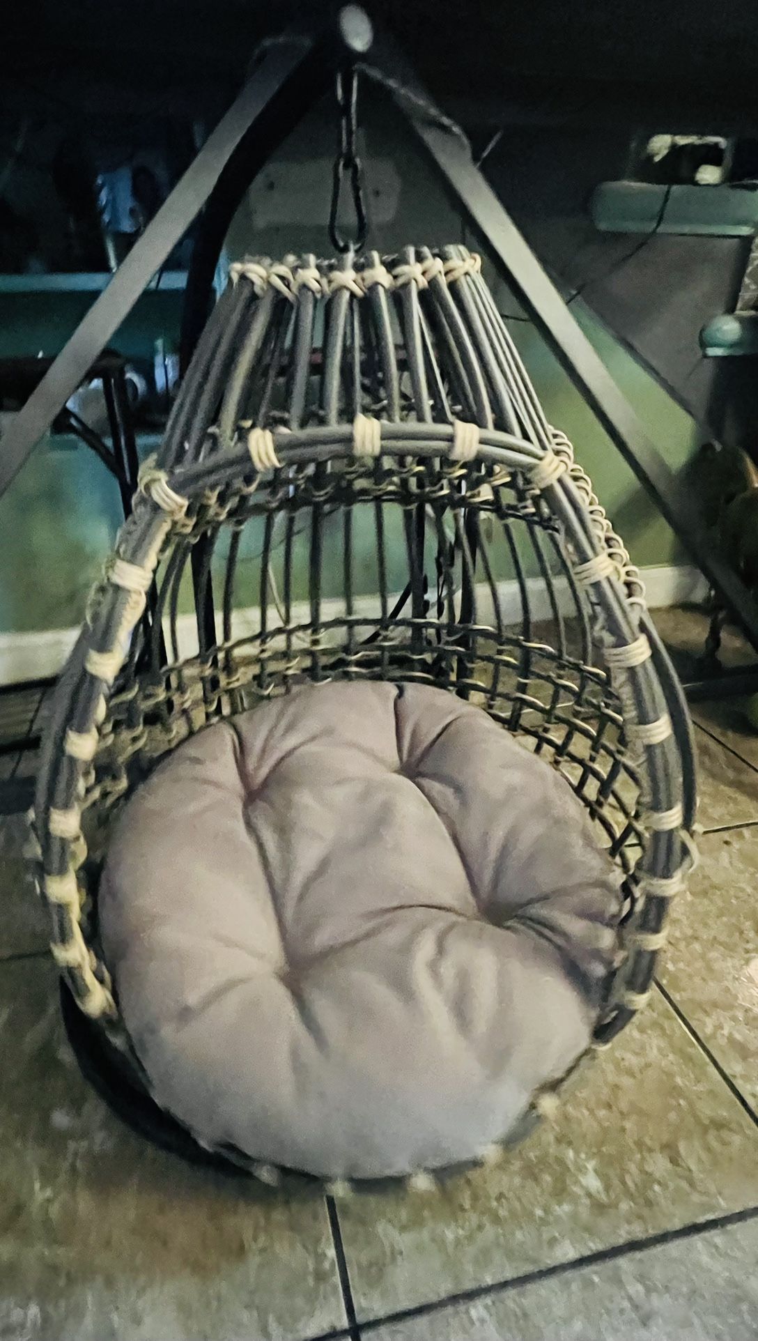 Cat Swing