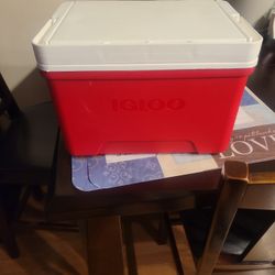 Igloo Cooler  12 Pack
