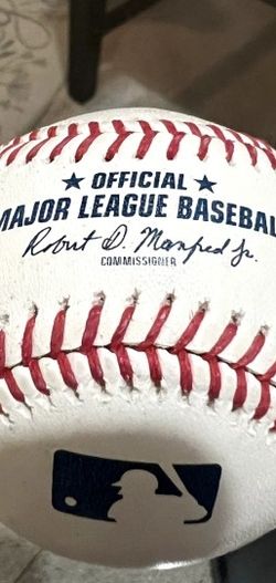 Dodger Fall Ball From 11-17-25 Game