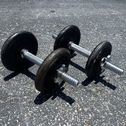 $20 for both! Two 10lb Vintage Weider Iron Dumbbell Curling Workout Home Gym Weightlifting Weights with bars! 