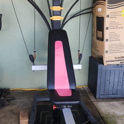 Bowflex PR1000 Home Gym
