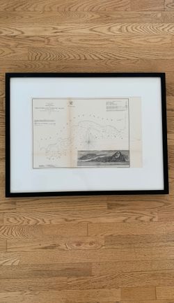 Original Print of San Clemente Island framed by professional