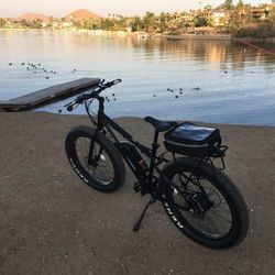 Emojo Wildcat E-bike