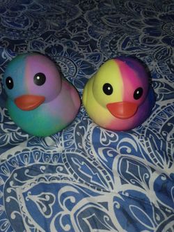 Squishy birds