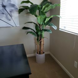 Faux Banana Plant