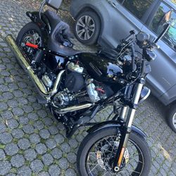 2025 HD Street Bob