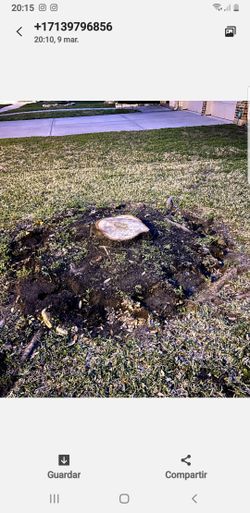 Stump grinding
