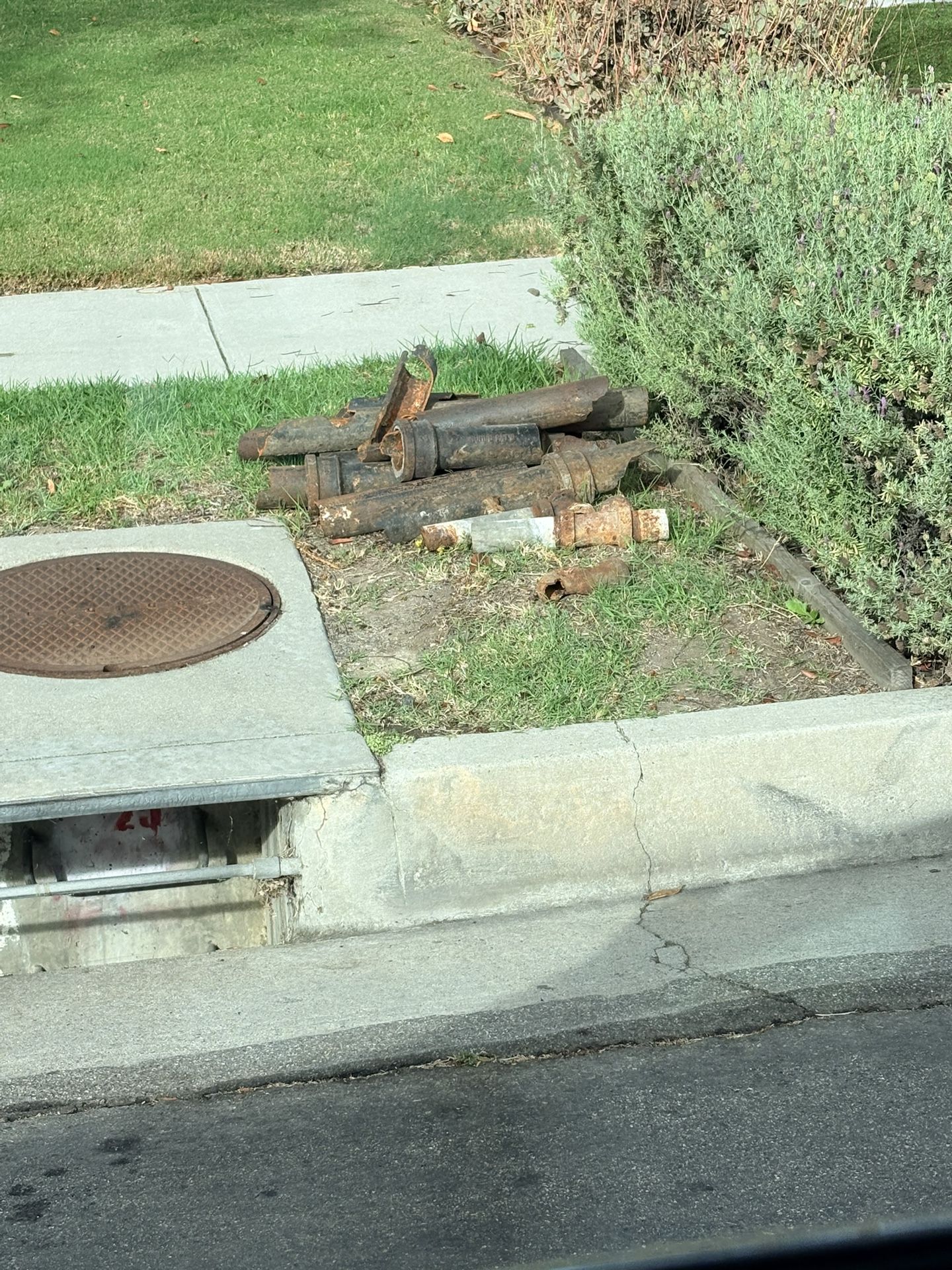 Scrap Metal 