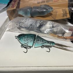 Swim Baits 
