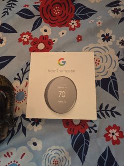Google Nest Thermostat in Box