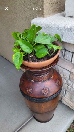 Tall Floor Steel Vase 28" + Live Pothos Plant in Clay Pot | Boho Home Décor Bundle | Ready to Display