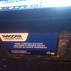 Paccar 12v battery truck battery