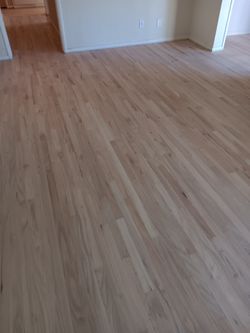 Carpet Cleaning Machine