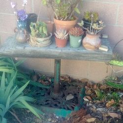 Antique Unique Plant Stand 