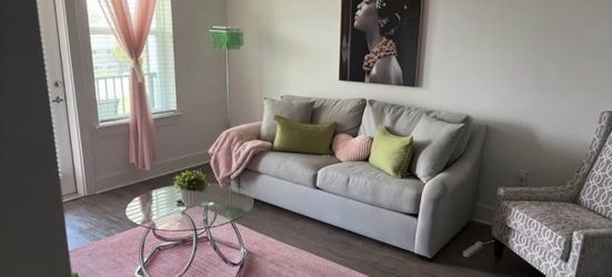 Grey Pullout Couch