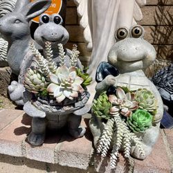Fake Succulents Frog 🐸 Arrangements
