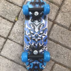Skate Board