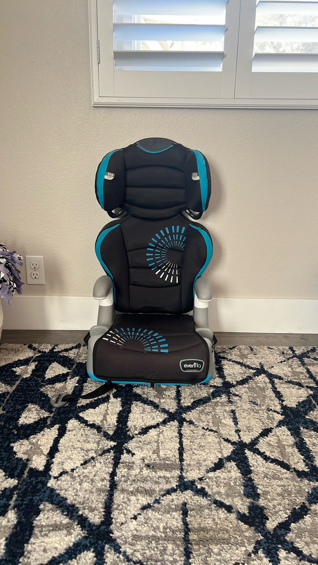 Evenflo Chase Booster Seats (contact info removed)1