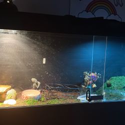 120 Reptile Tank (comes With 2 UVB Lights And 1 Halogen)