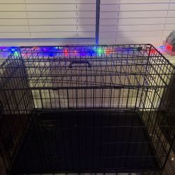 Medium Size Dog Cage