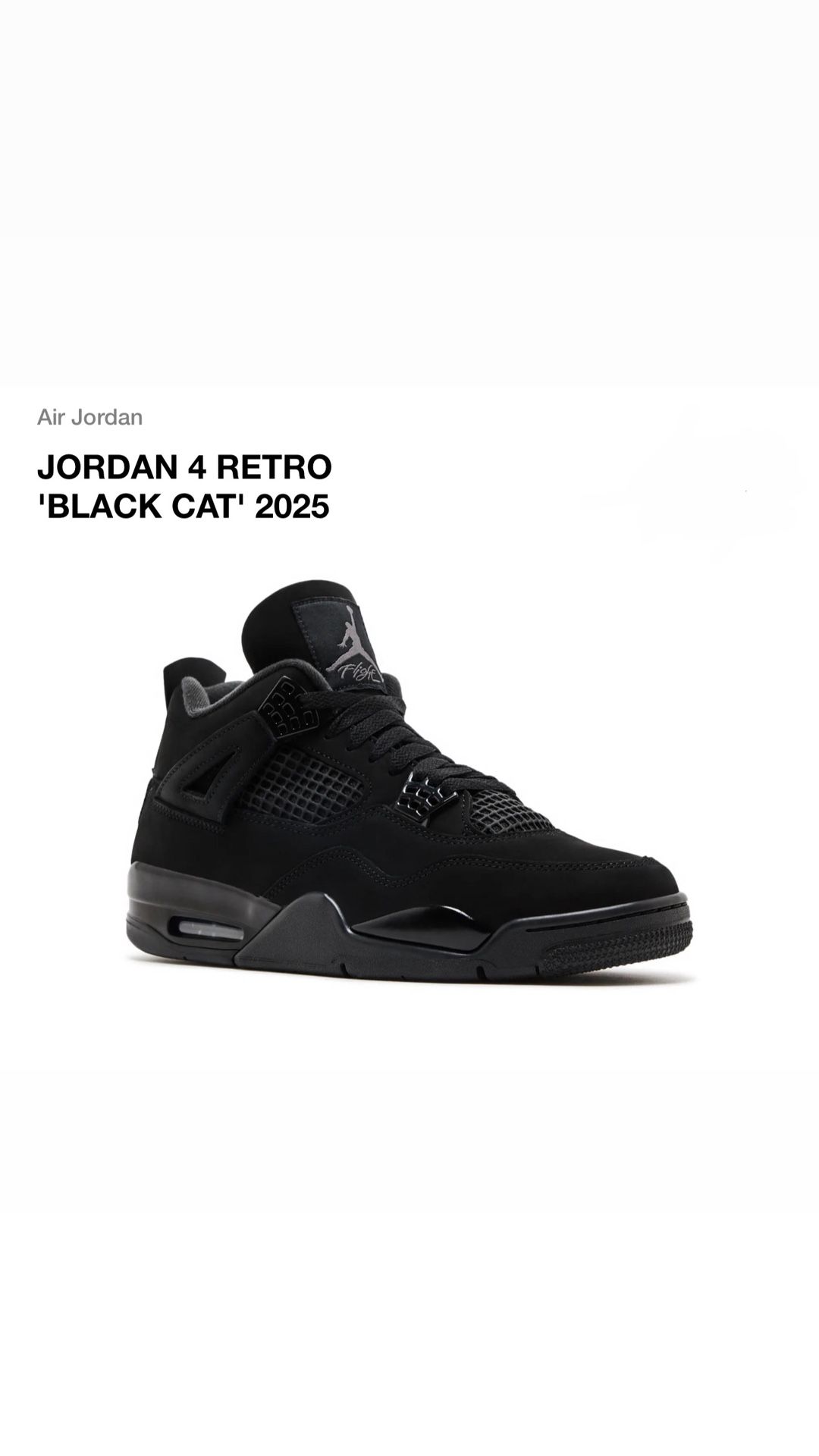 2025 Jordan 4 Size 10.5