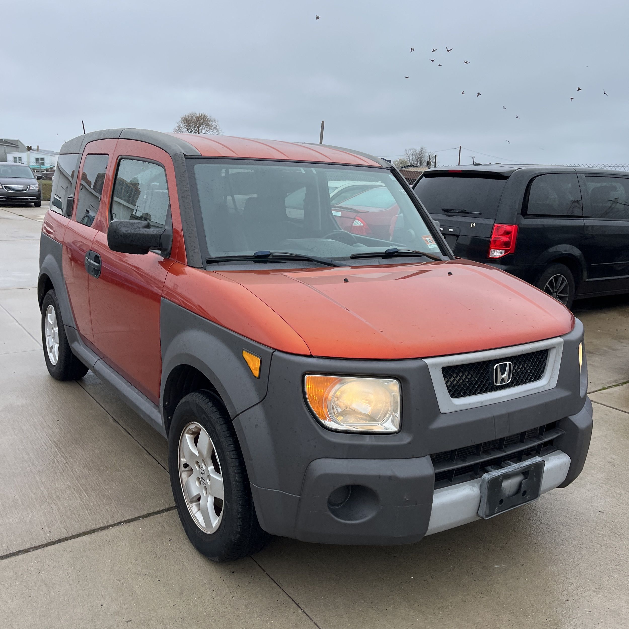 2005 Honda Element
