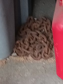 Chain