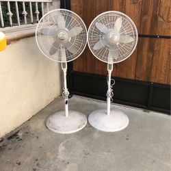 Fan Pedestal