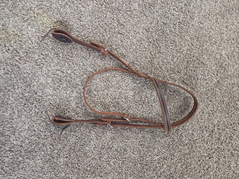 Horse Bridle