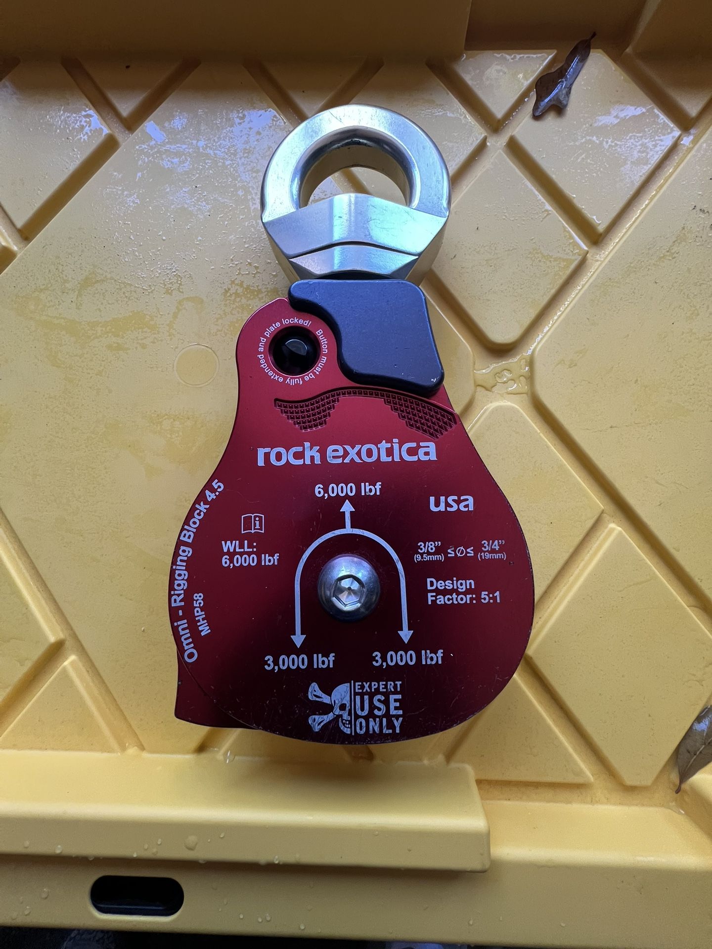 Rock Exotic