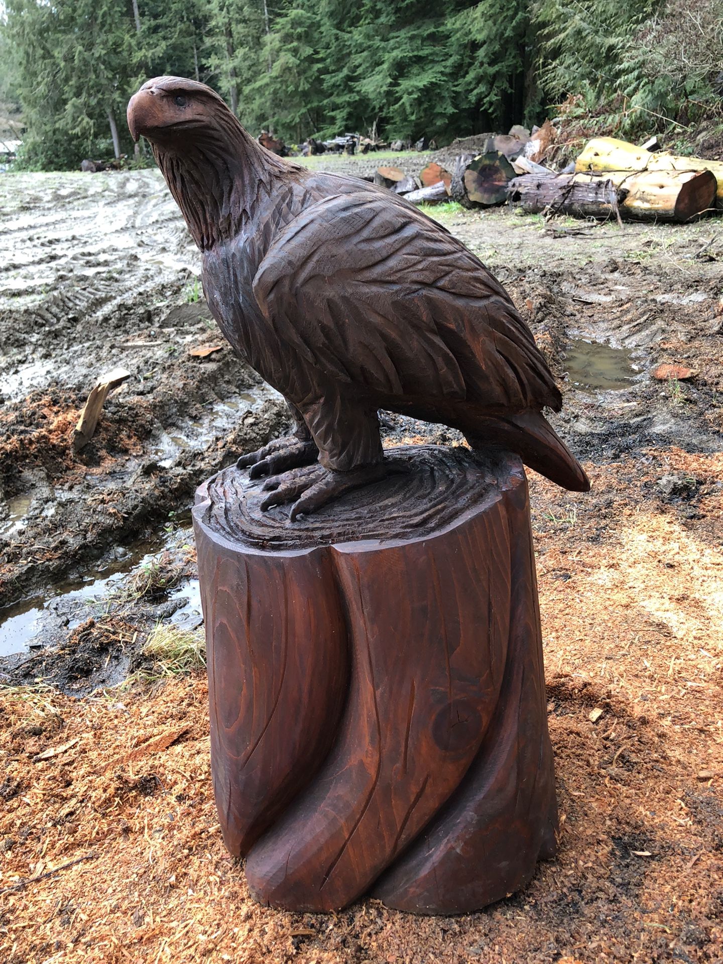 Chainsaw Carved Eagle