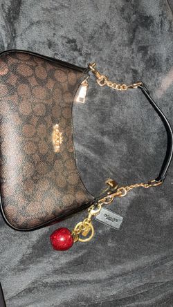 Coach Teri Bag
