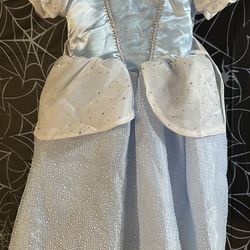 New Cinderella Costume