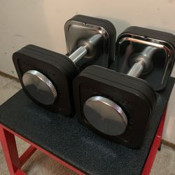 IRONMASTER Quick-Lock Adjustable Dumbbell System - 45 LB Set