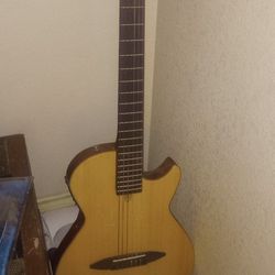 Babilon Nylon Electric Solid Body Guitar And Fender Acoustica 15