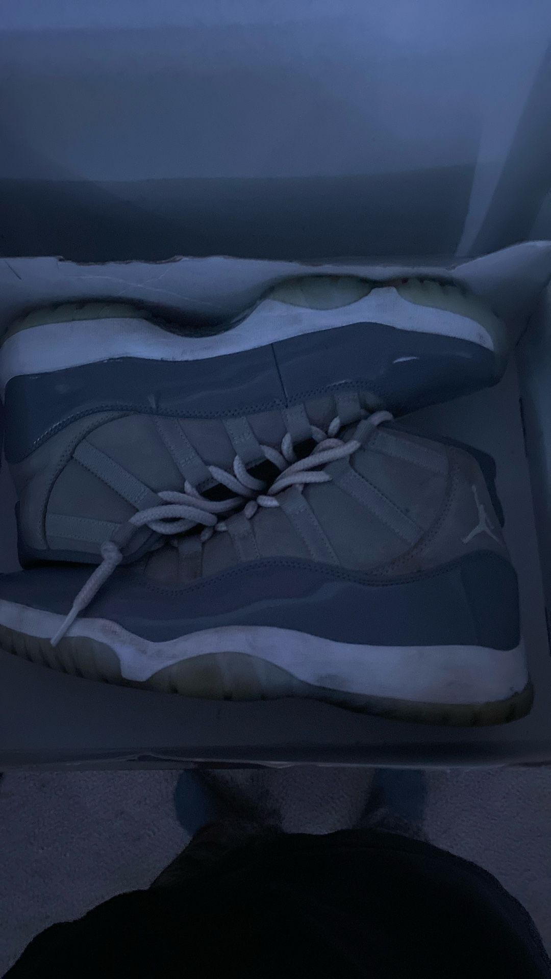 Jordan 11s (Cool Gray) (worn)