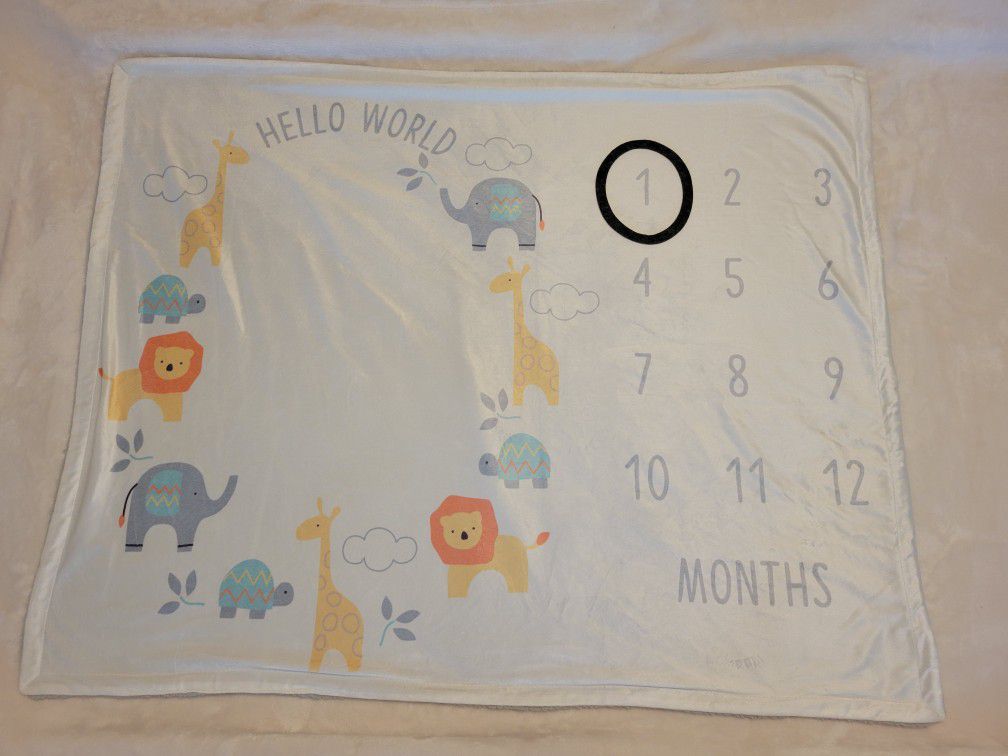 Hudson Baby Plush Milestone Blanket