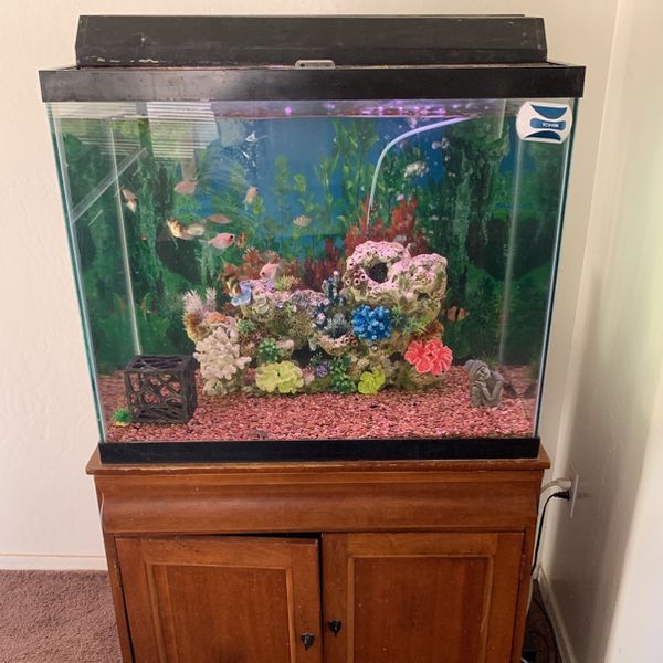50 Gal Tall Fish Tank for Sale in Chandler, AZ OfferUp