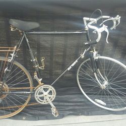 Del ray bicycle (read description)