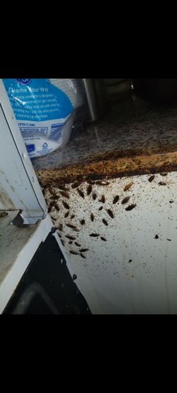 Fumigadores