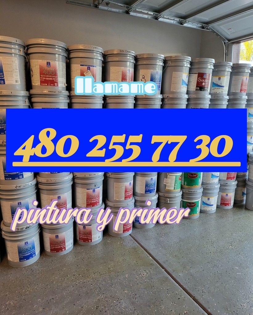 Paint For Sale