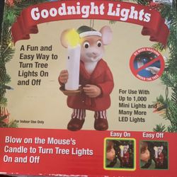 Goodnight Light 2014