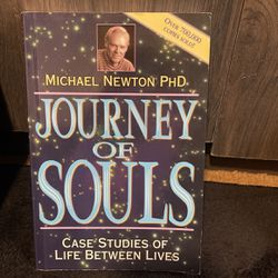 Journey Of Souls 