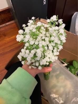 Fake Baby’s Breath