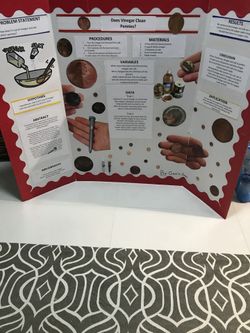 Science 🔬 Project