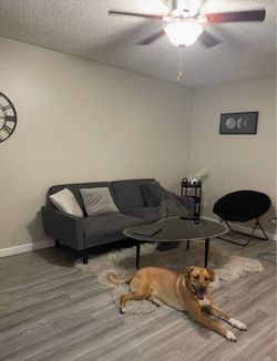 Modern Gray Square 2 Seat Sofa Couch Futon
