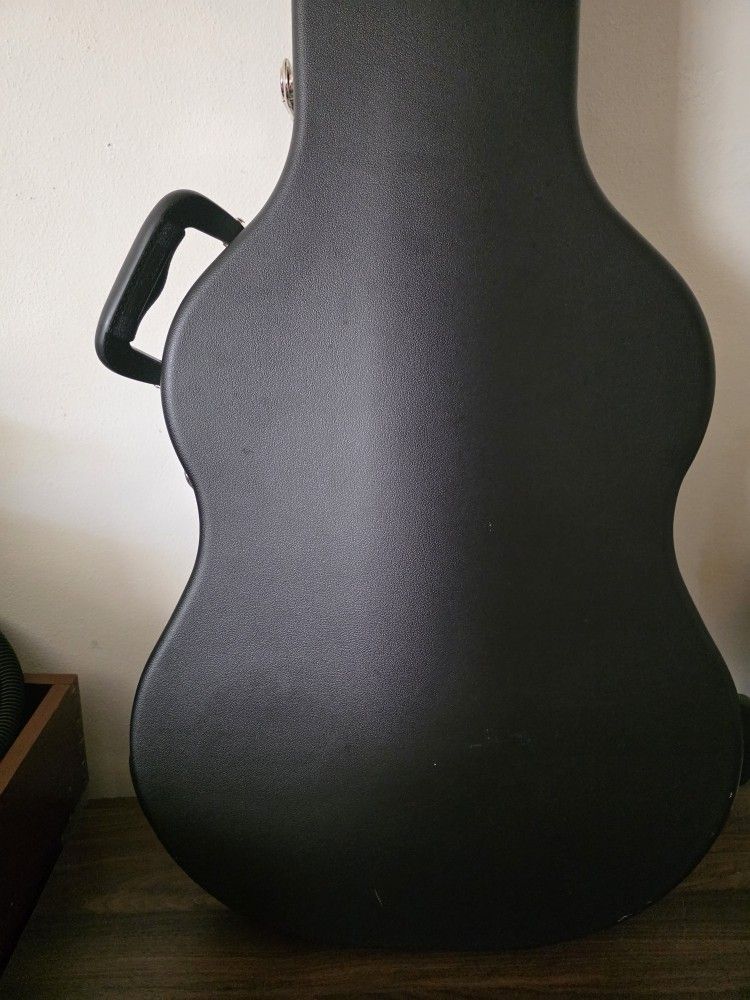 Roadrunner Guitar Case