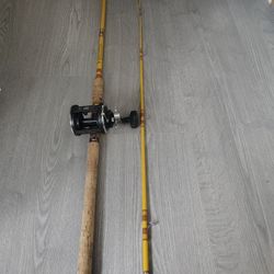 Eagle Claw Salmon Rod