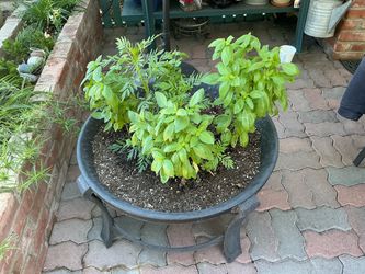 🔥 Fire Pit or Garden Box